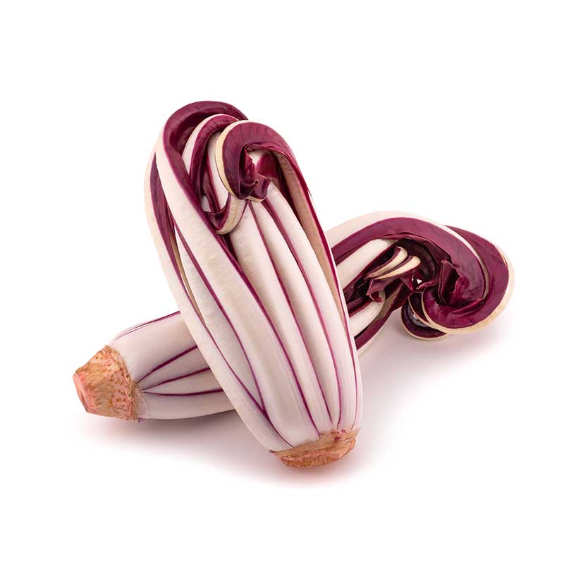 long_treviso_radicchio long_treviso_radicchio