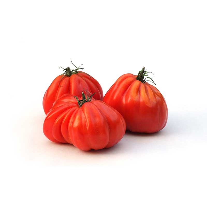 oxheart_tomatoes_single_layer oxheart_tomatoes_single_layer