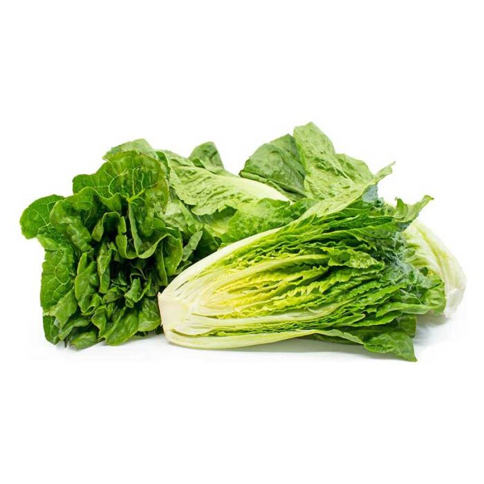 romaine_lettuce