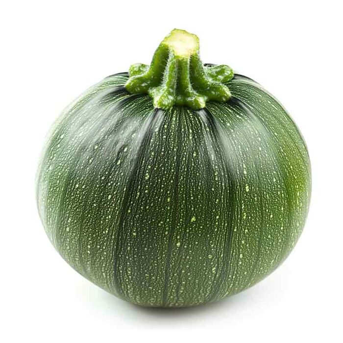 round_courgette_single_layer