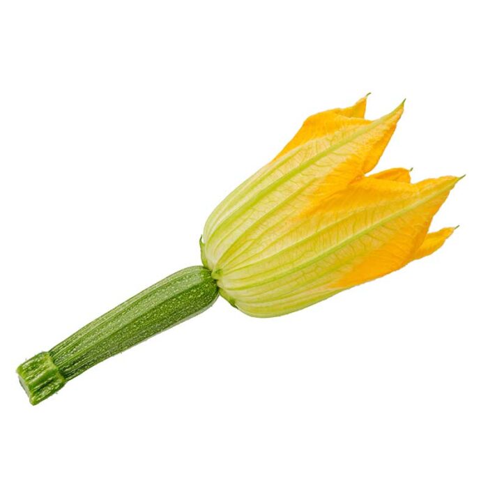 small_courgette_with_flower