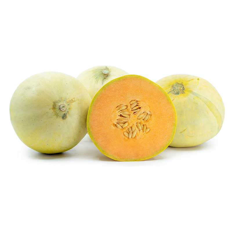 smooth_melon_honeymoon smooth_melon_honeymoon