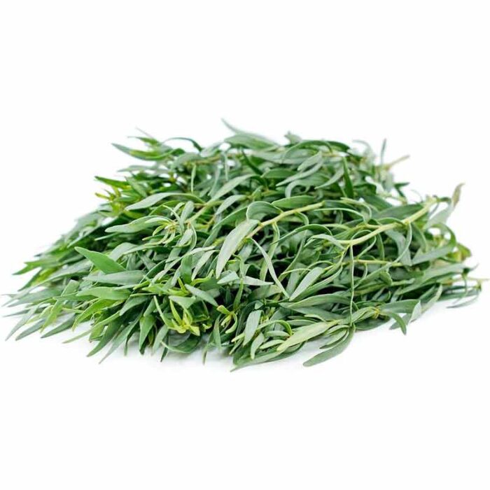 tarragon