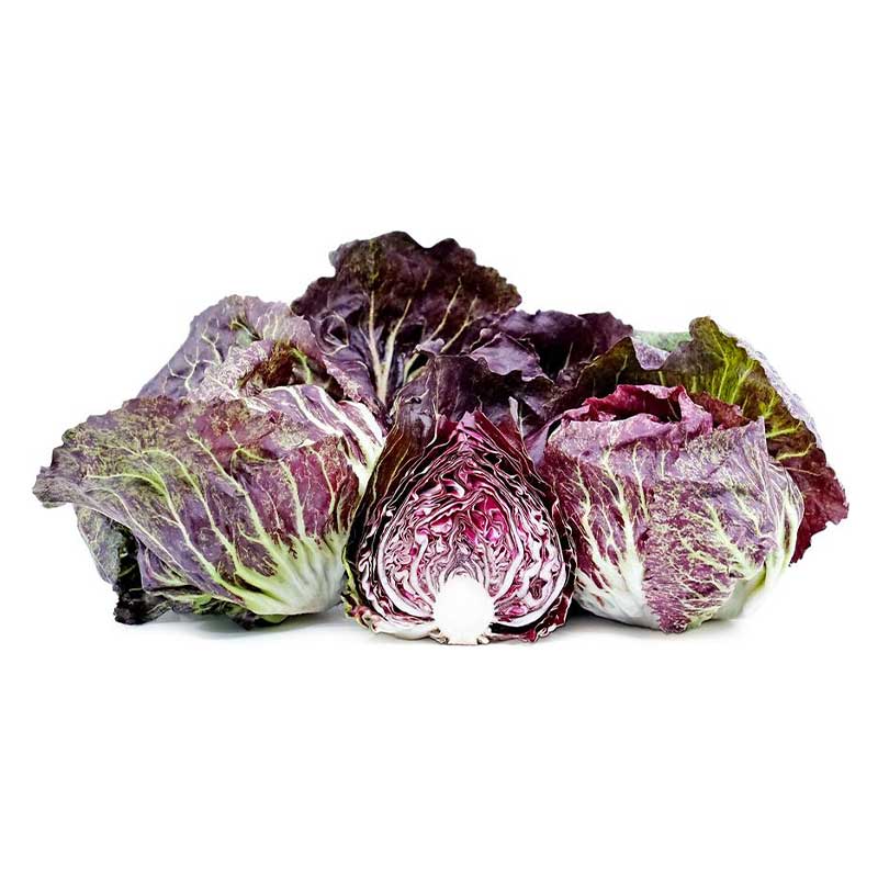 variegated_radicchio variegated_radicchio