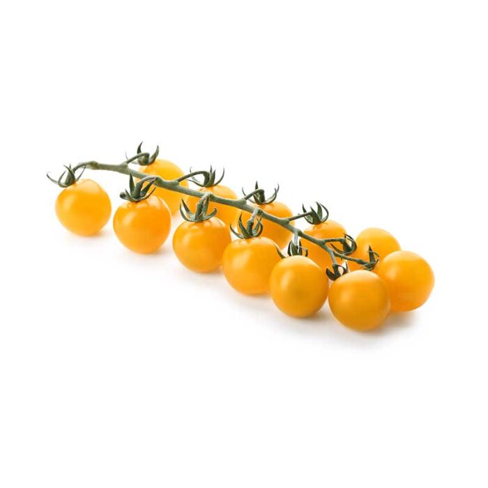 yellow_cherry_tomatoes_on_the_vine