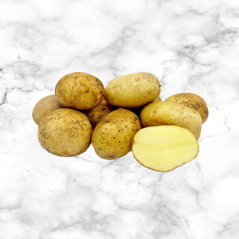 Agria Potatoes agria_potatoes