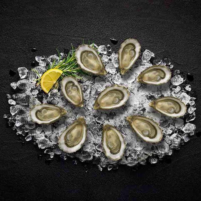 fine_de_marennes_oleron_fine_celine_oysters