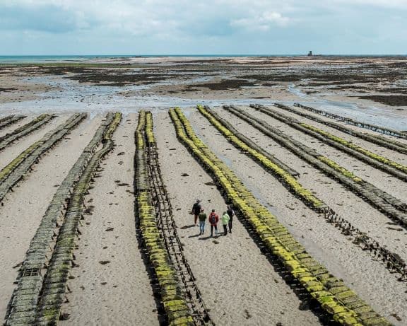 jersey_oyster_beds