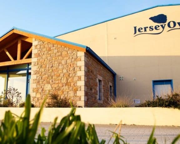 jersey_oyster_company