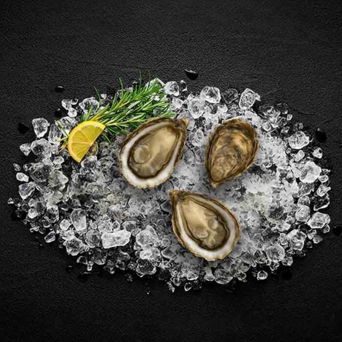 jersey_oysters
