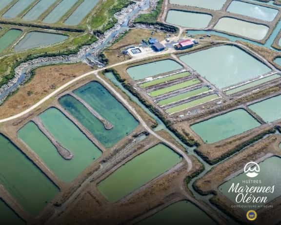 the_marennes‑oléron_basin