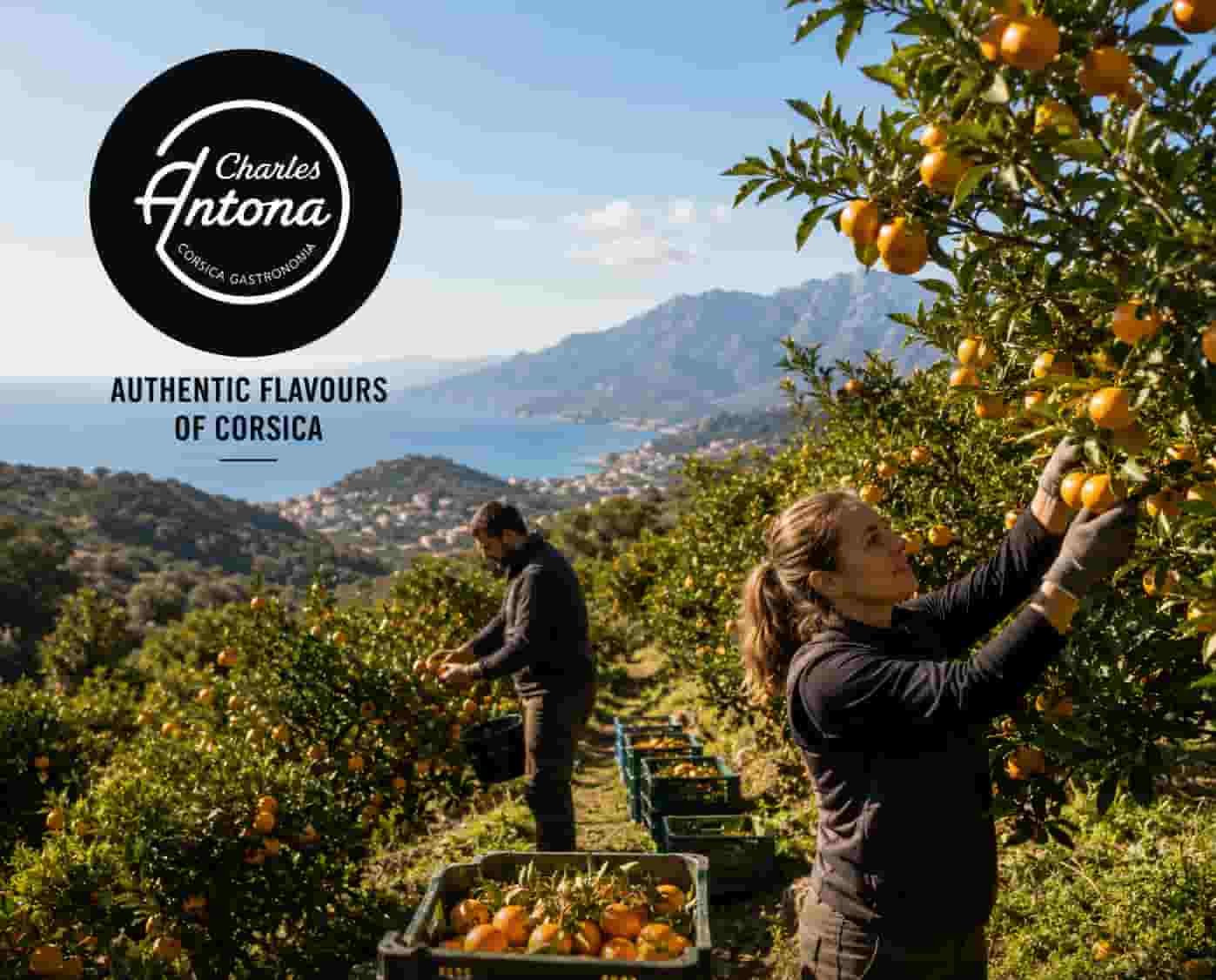 charles_antona_clementines_corsica