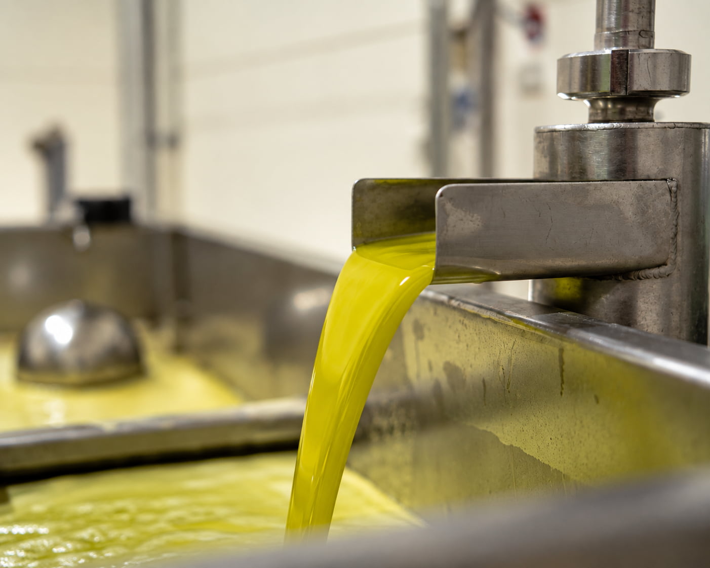 almazara_riojana_organic_olive_oil